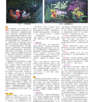 技師報第1127期，淺談「中西藝術的融合」新思維